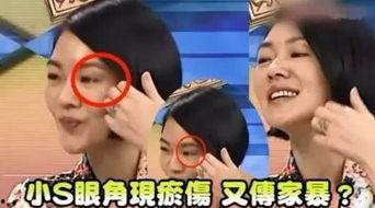 成源家暴爆料事件视频,真相与反思