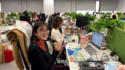 娱乐公司工作爆料怎么办,深度解析工作爆料背后的真相