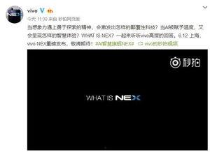 解读最新爆料视频网站,独家内容与技术创新一网打尽